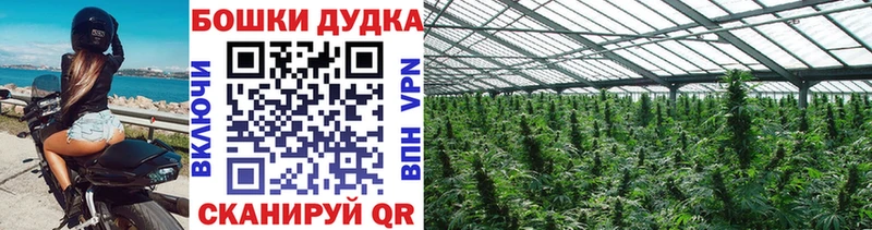 Хочу наркоту Красный Кут Кокаин  Псилоцибиновые грибы  АМФЕТАМИН  МАРИХУАНА  Гашиш 