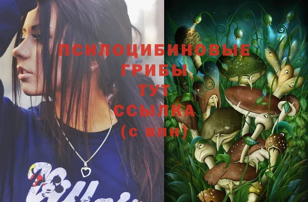 PSILOCYBIN Нягань