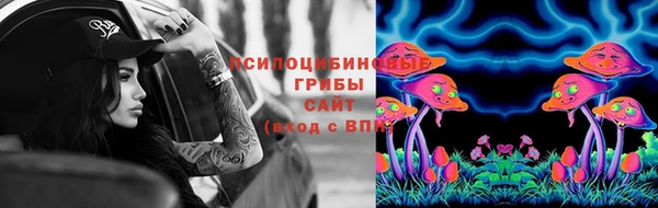 прущие крисы Няндома