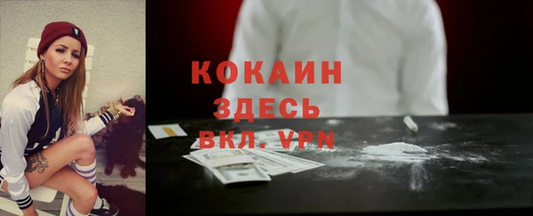 прущие крисы Няндома