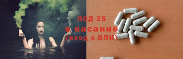 PSILOCYBIN Нягань